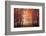 Feel-Ildiko Neer-Framed Photographic Print