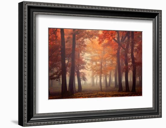 Feel-Ildiko Neer-Framed Photographic Print