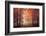 Feel-Ildiko Neer-Framed Photographic Print