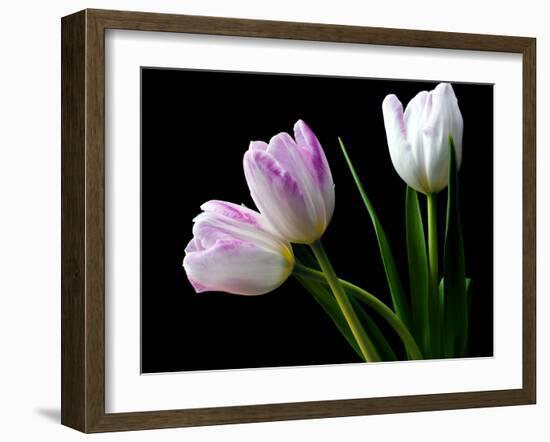 Feeling Outside-Heidi Westum-Framed Photographic Print