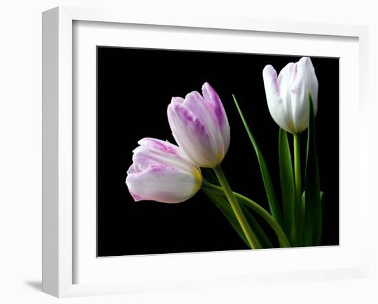 Feeling Outside-Heidi Westum-Framed Photographic Print