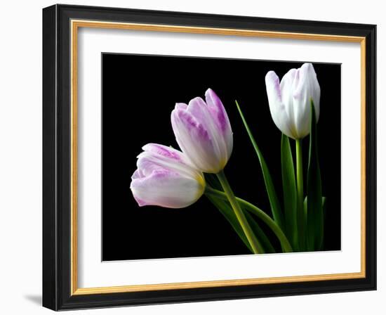 Feeling Outside-Heidi Westum-Framed Photographic Print