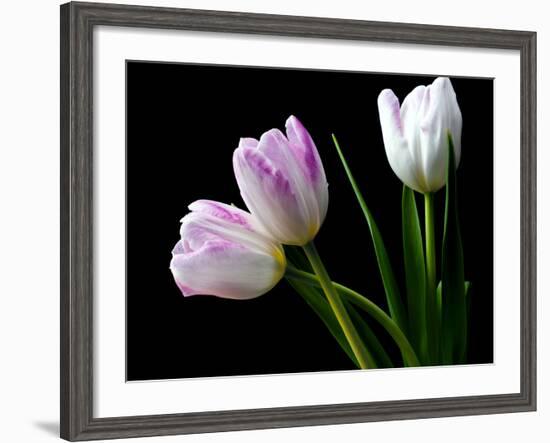 Feeling Outside-Heidi Westum-Framed Photographic Print