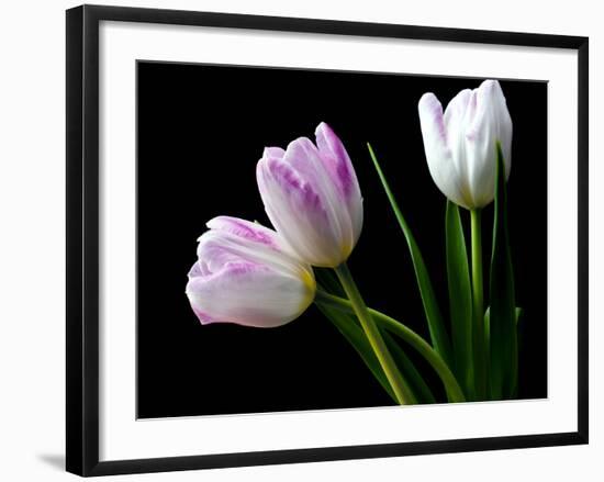 Feeling Outside-Heidi Westum-Framed Photographic Print