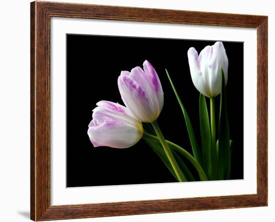 Feeling Outside-Heidi Westum-Framed Photographic Print