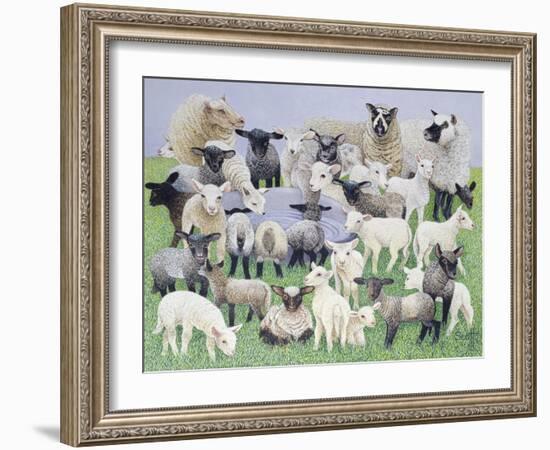 Feeling Sheepish-Pat Scott-Framed Giclee Print