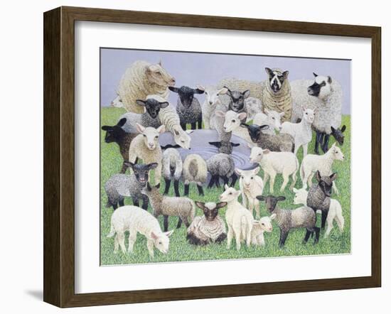 Feeling Sheepish-Pat Scott-Framed Giclee Print