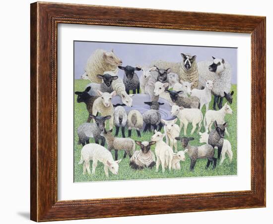 Feeling Sheepish-Pat Scott-Framed Giclee Print