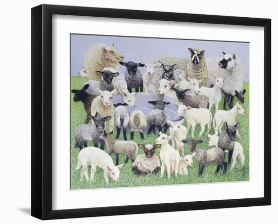 Feeling Sheepish-Pat Scott-Framed Giclee Print