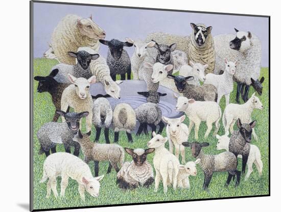 Feeling Sheepish-Pat Scott-Mounted Giclee Print