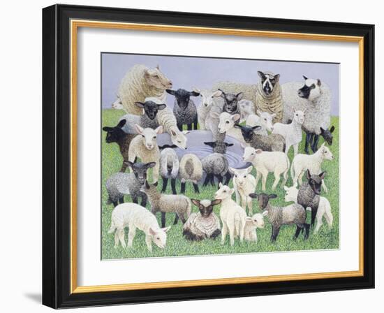 Feeling Sheepish-Pat Scott-Framed Giclee Print