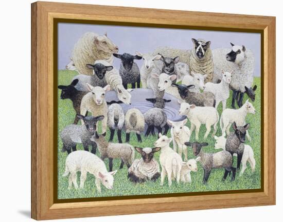 Feeling Sheepish-Pat Scott-Framed Premier Image Canvas