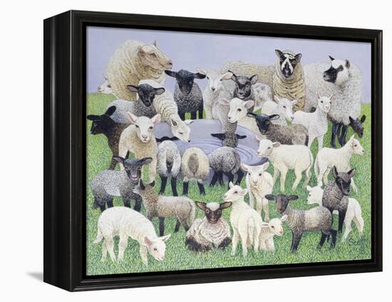 Feeling Sheepish-Pat Scott-Framed Premier Image Canvas