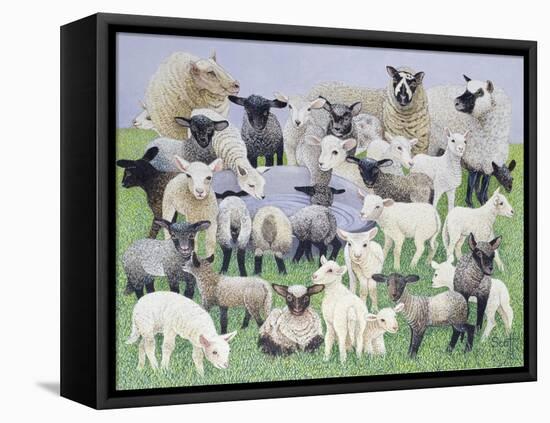 Feeling Sheepish-Pat Scott-Framed Premier Image Canvas