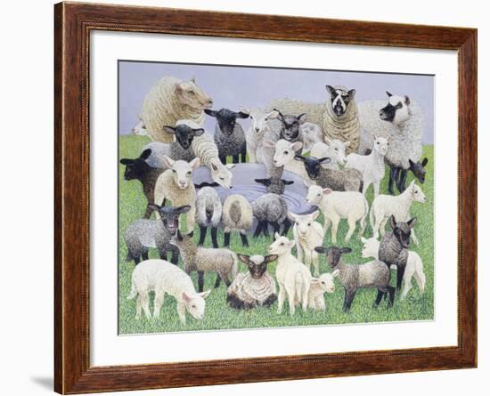 Feeling Sheepish-Pat Scott-Framed Giclee Print