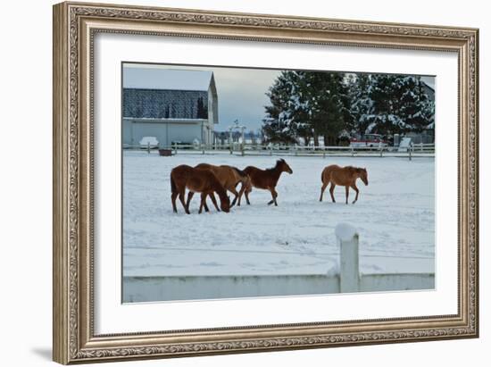 Feeling Spunky-Dana Styber-Framed Photographic Print