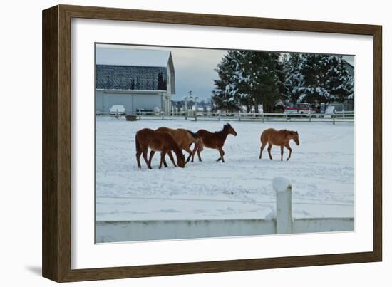 Feeling Spunky-Dana Styber-Framed Photographic Print