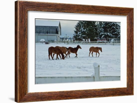 Feeling Spunky-Dana Styber-Framed Photographic Print