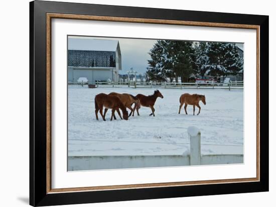 Feeling Spunky-Dana Styber-Framed Photographic Print