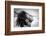 Feeling the Sun and Wind-Gloria Salgado Gispert-Framed Photographic Print