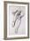 Feet and Legs of Seated Nude-John Singer Sargent-Framed Giclee Print
