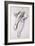 Feet and Legs of Seated Nude-John Singer Sargent-Framed Giclee Print