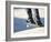 Feet on a Skateboard at the Edge of a Ramp-null-Framed Photographic Print