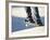 Feet on a Skateboard at the Edge of a Ramp-null-Framed Photographic Print
