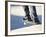 Feet on a Skateboard at the Edge of a Ramp-null-Framed Photographic Print