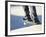 Feet on a Skateboard at the Edge of a Ramp-null-Framed Photographic Print