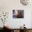 Feet Washing Ritual During Maundy Thursday Celebration in a Catholic Church, Paris, France, Europe-null-Photographic Print displayed on a wall