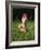 Feet with Flowers-Bjorn Svensson-Framed Photographic Print