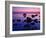 Fehmarn Island, Baltic Sea, Fehmarn, Evening-Thomas Ebelt-Framed Photographic Print