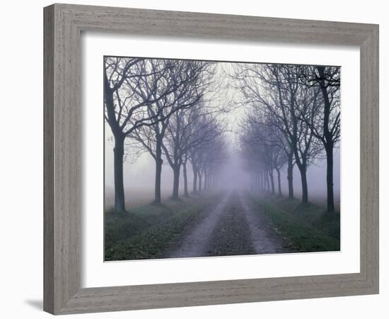 Feldweg, Eschenallee, Nebel, Landschaft, Weg, StravŸe, FahrstravŸe-Thonig-Framed Photographic Print