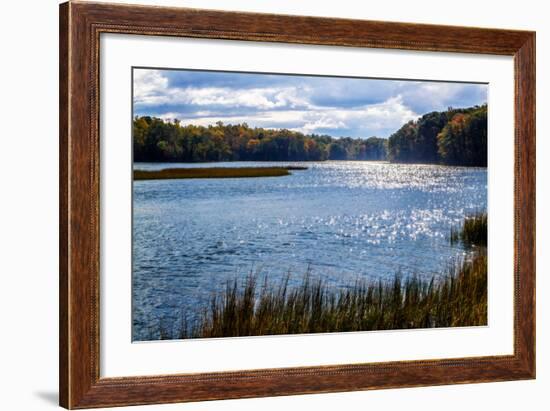 Felgates Creek I-Alan Hausenflock-Framed Photo