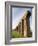 Felice Aqueduct, Along the Via Appia, Rome, Lazio, Italy, Europe-Olivieri Oliviero-Framed Photographic Print