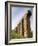 Felice Aqueduct, Along the Via Appia, Rome, Lazio, Italy, Europe-Olivieri Oliviero-Framed Photographic Print