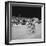 Felice Gimondi, Raymond Poulidor and Gianni Motta are Celebrated at the End of the Tour De France-Mario de Biasi-Framed Giclee Print