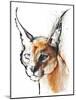 Feline (Arabian Caracal), 2009-Mark Adlington-Mounted Giclee Print