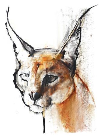 Caracal Cat One | Art Board Print