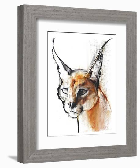 Feline (Arabian Caracal), 2009-Mark Adlington-Framed Giclee Print