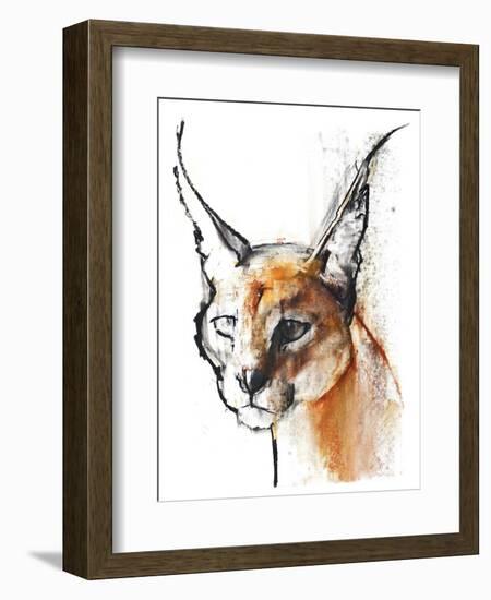 Feline (Arabian Caracal), 2009-Mark Adlington-Framed Giclee Print