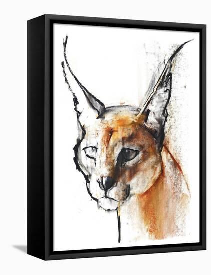 Feline (Arabian Caracal), 2009-Mark Adlington-Framed Premier Image Canvas