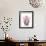Feline Flutter-Alan Lambert-Framed Giclee Print displayed on a wall