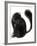 Feline Impression - Prowl-Kristine Hegre-Framed Giclee Print