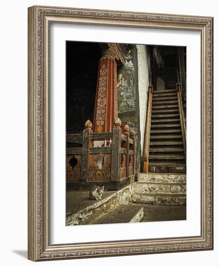 Feline Prayer-Andrew Geiger-Framed Giclee Print