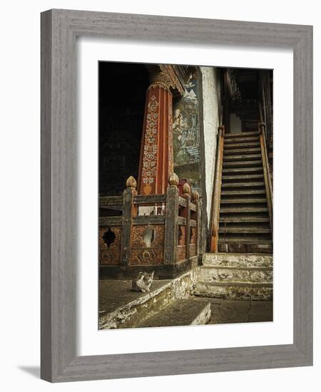 Feline Prayer-Andrew Geiger-Framed Giclee Print