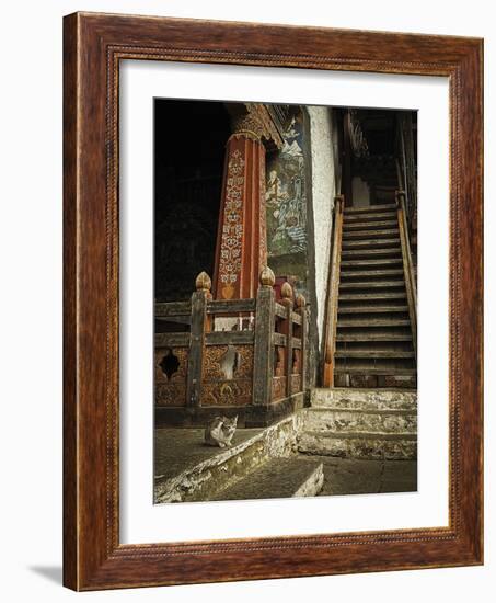 Feline Prayer-Andrew Geiger-Framed Giclee Print