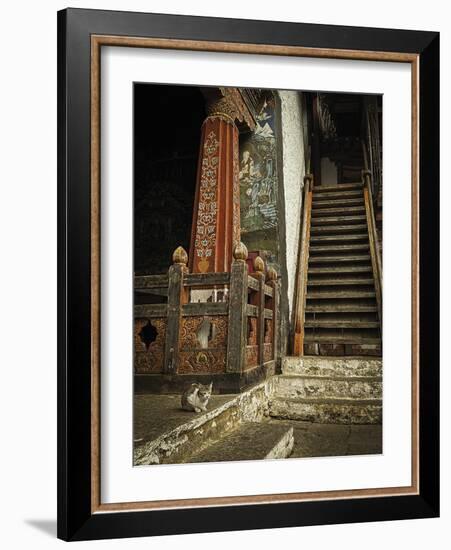 Feline Prayer-Andrew Geiger-Framed Giclee Print