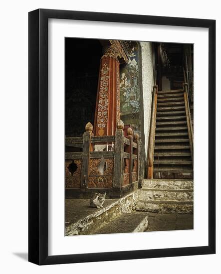 Feline Prayer-Andrew Geiger-Framed Giclee Print